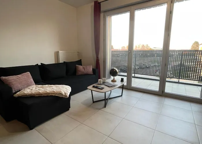 Luxury Apartment Near Cdg & Parc Asterix