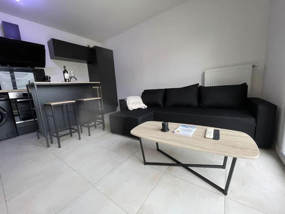 Luxury Near Cdg & Parc Asterix *